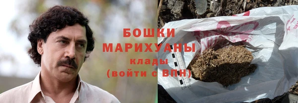 PSILOCYBIN Баксан