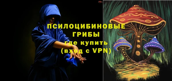соль ск Белокуриха